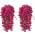 Red color or pattern variation