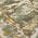Olive color or pattern variation