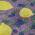 Lavender color or pattern variation