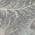 Gray color or pattern variation