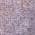 Lilac color or pattern variation