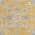 Yellow color or pattern variation