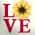 Love Sunflower