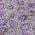 Purple color or pattern variation