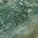 Green color or pattern variation