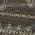 Brown color or pattern variation