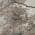Taupe color or pattern variation