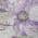 Purple color or pattern variation