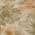 Beige color or pattern variation
