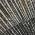 Black color or pattern variation