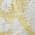 Gold color or pattern variation