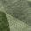 Green color or pattern variation