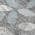 Gray color or pattern variation