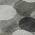 Gray color or pattern variation