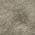 Beige color or pattern variation