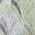 GREEN color or pattern variation