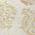 Cream color or pattern variation