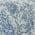 Blue color or pattern variation
