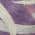 Purple color or pattern variation