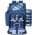 Blue color or pattern variation