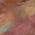 Pink color or pattern variation