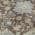 Gray color or pattern variation