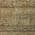 Brown color or pattern variation