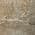 Brown color or pattern variation
