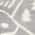 Cream color or pattern variation