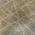 Gray color or pattern variation