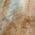 Mocha color or pattern variation