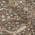 Brown color or pattern variation