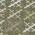 Olive color or pattern variation
