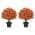 Orange color or pattern variation
