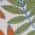 Ivory/Multi color or pattern variation