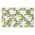 Fruity Lemony Vine Pattern color or pattern variation