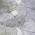 Lavender color or pattern variation