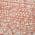 Coral color or pattern variation