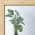 Pine/Clear Glass color or pattern variation