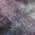 Eggplant color or pattern variation