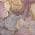 Plum color or pattern variation