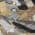 Black color or pattern variation