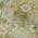 Khaki color or pattern variation