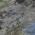 Taupe color or pattern variation