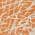 Orange color or pattern variation