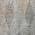 Gray color or pattern variation