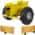 Yellow color or pattern variation
