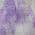 Purple color or pattern variation