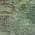 Green color or pattern variation