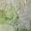 Green color or pattern variation